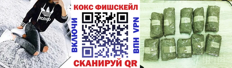COCAIN 99%  Куровское 