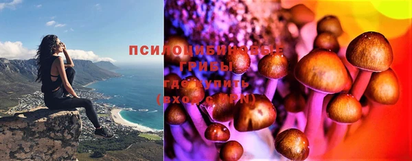 дмт Семилуки